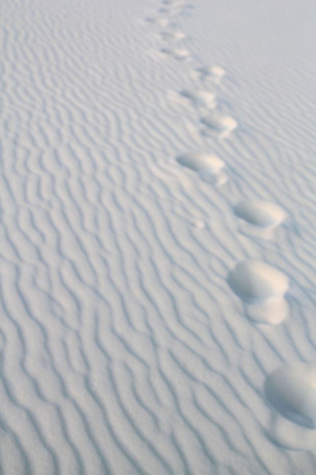 Snapshot: Having Taken A Path